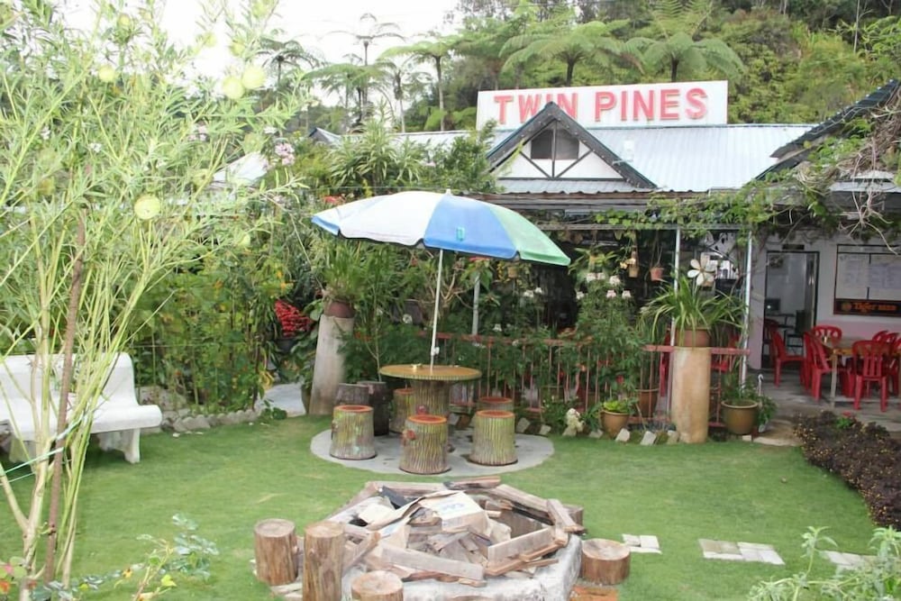 Twin Pines 1