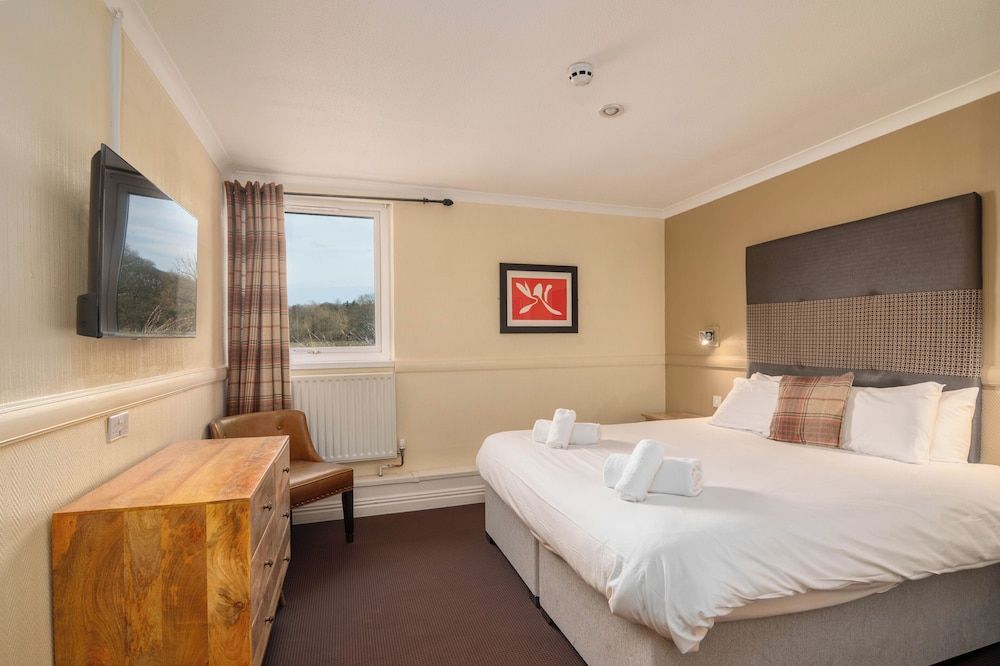 Honest Lawyer Hotel 2