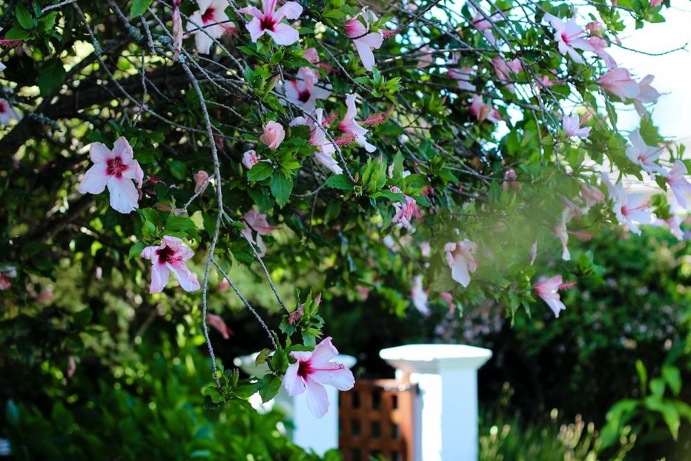 Whispering Oaks Guest House 1
