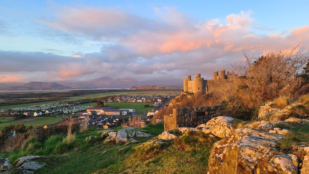 Y Branwen Restaurant & Rooms - Adult Only and Dog Friendly 1