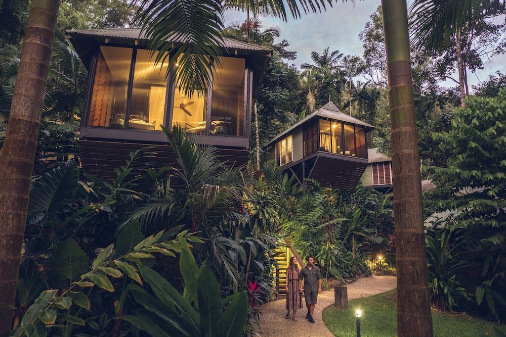 Daintree Ecolodge 1