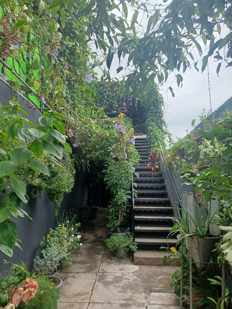 Charlys Place 1