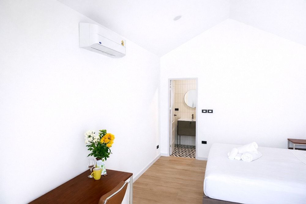 Travellers Palm 2