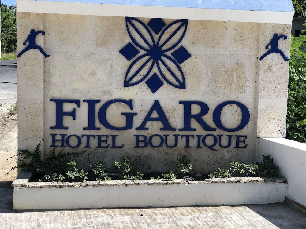 Nice - Samana - Figaro Hotel Samana - Samana