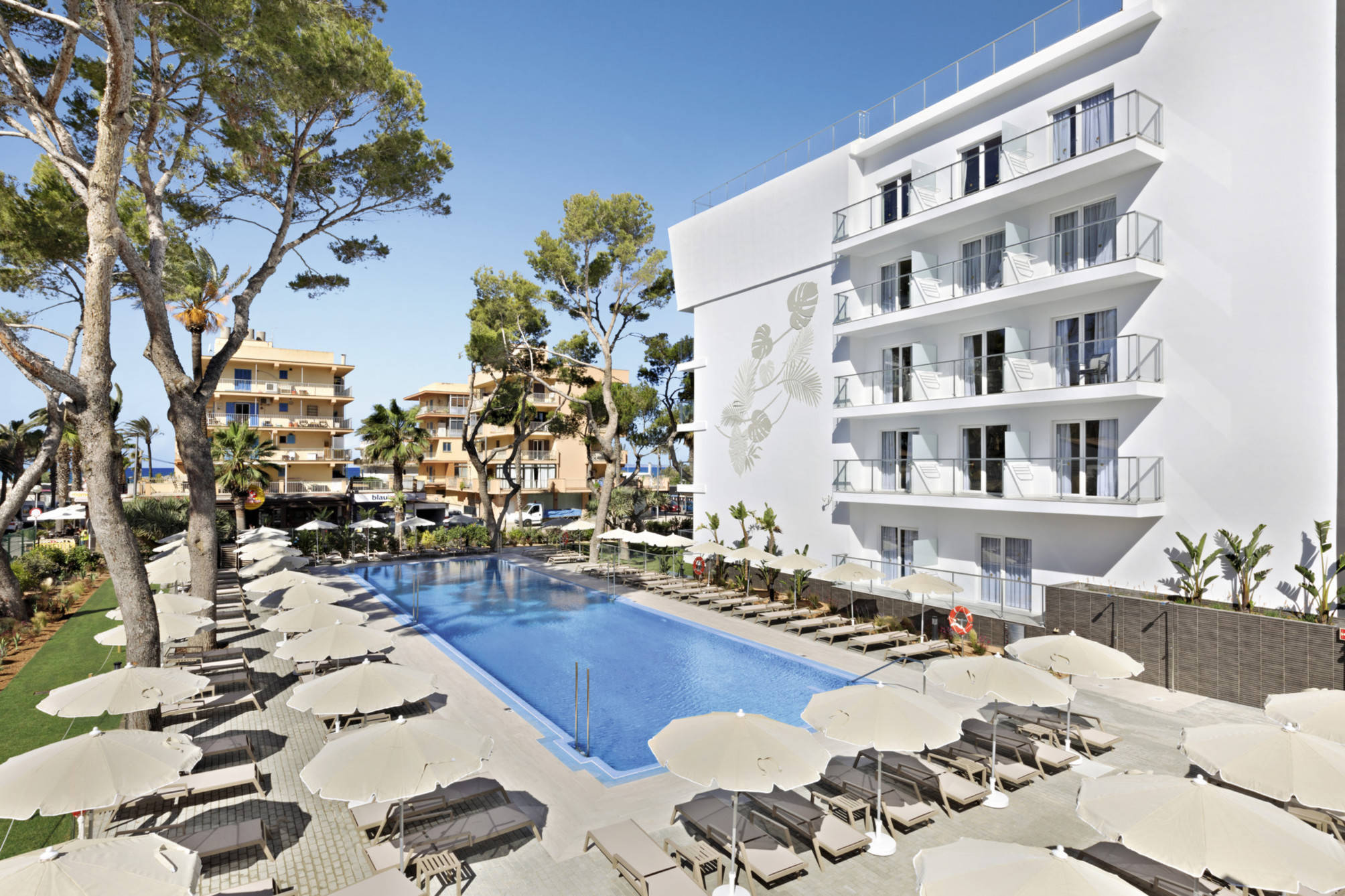 Hotel Riu Concordia 2