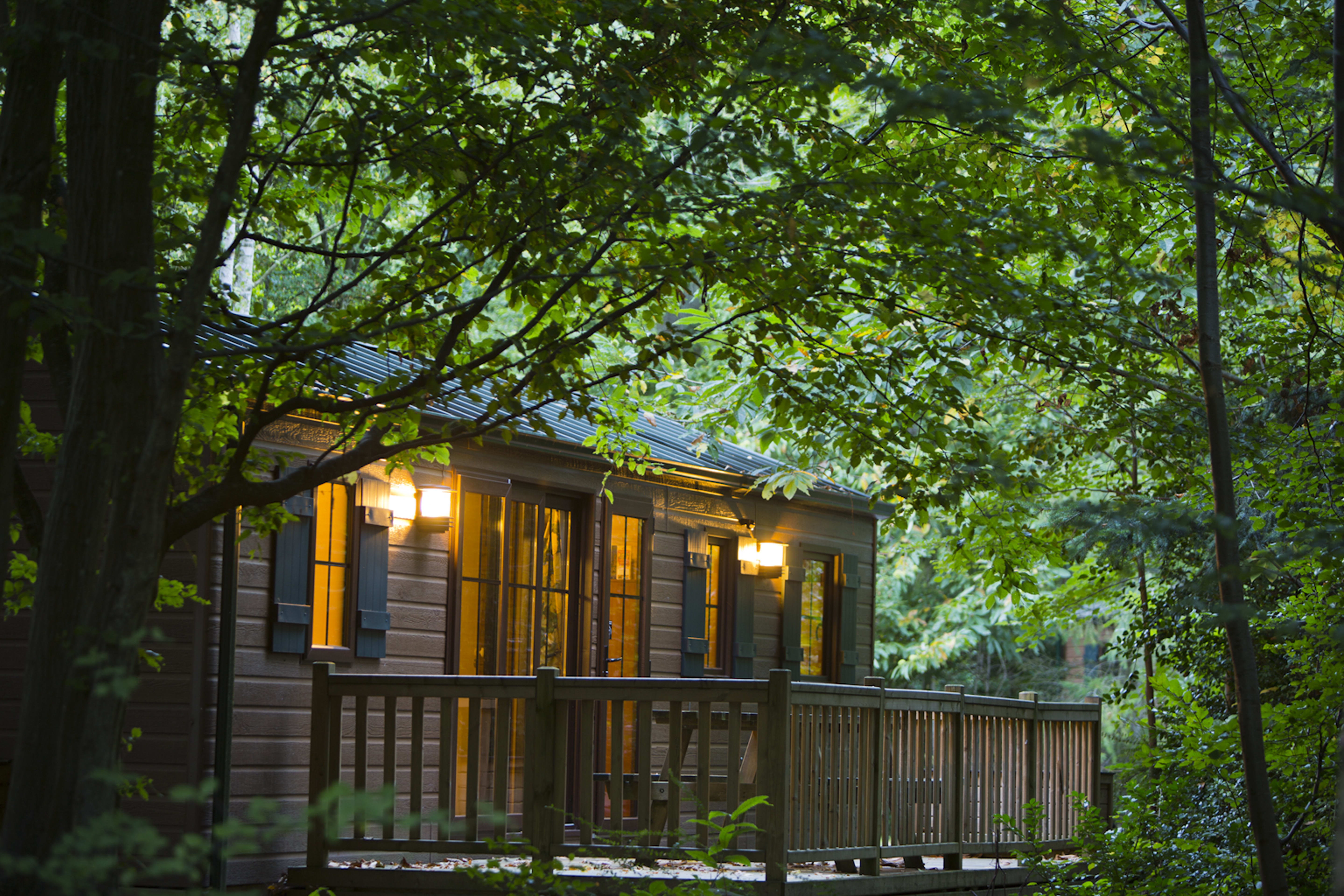 Disney Davy Crockett Ranch + Tickets 1