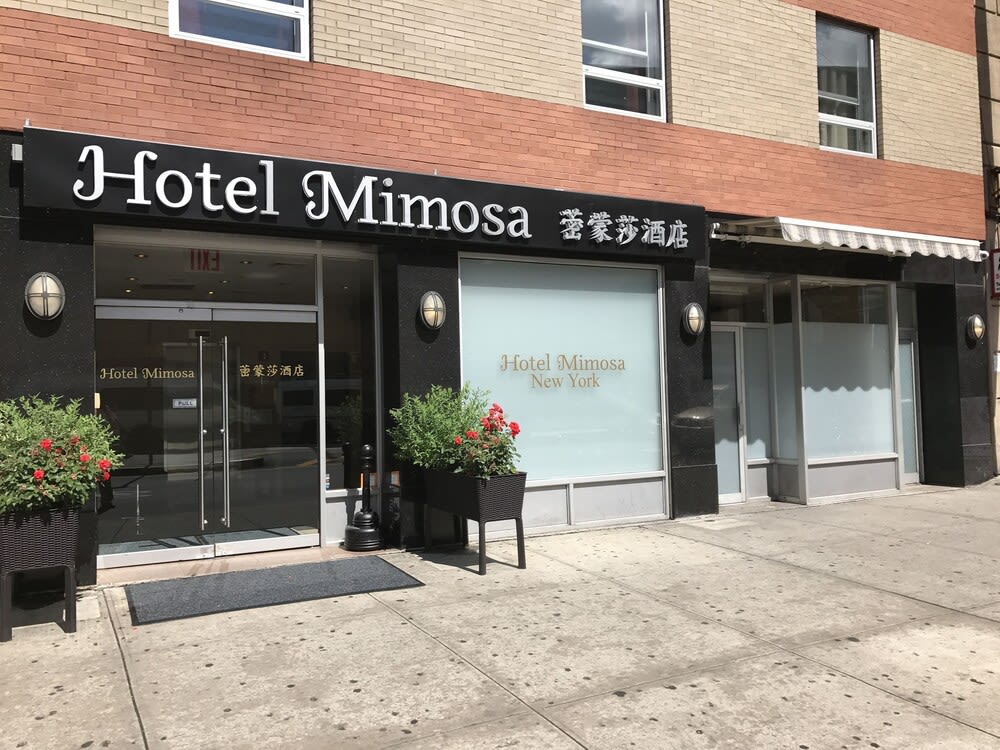 Hotel Mimosa 1