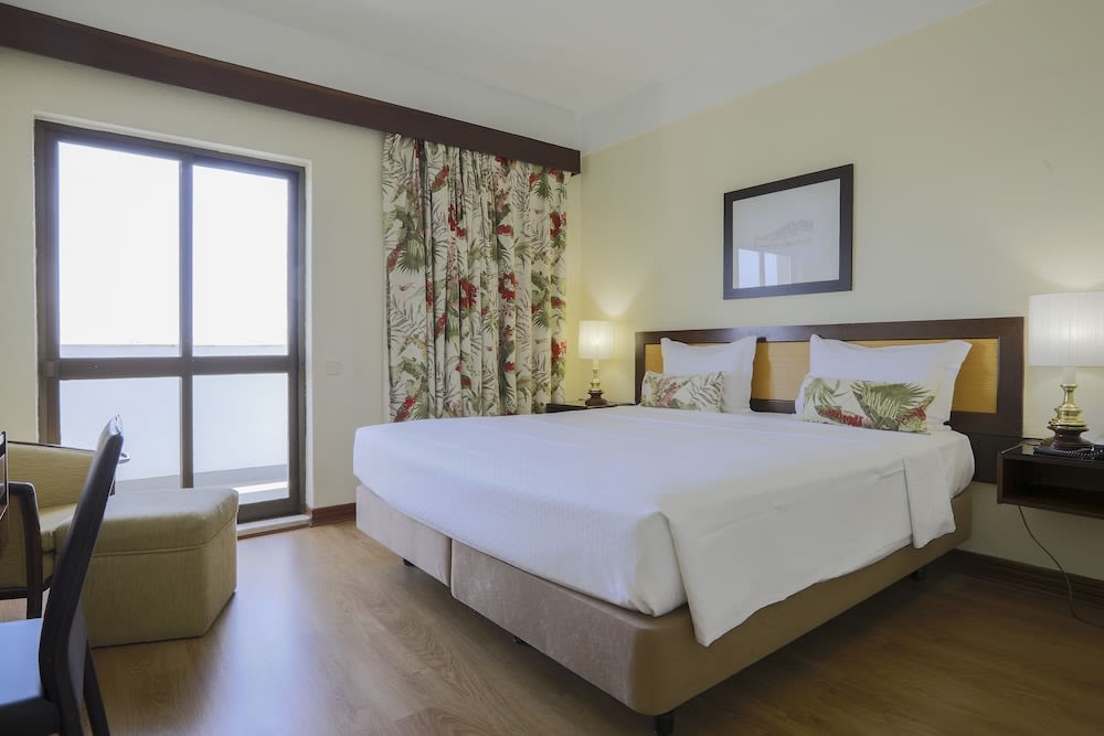 Hotel D. Luis 1