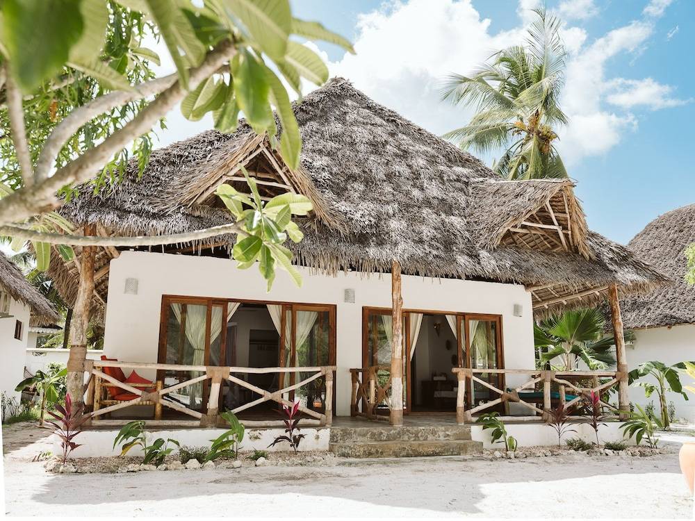 JOY OF ZANZIBAR 1