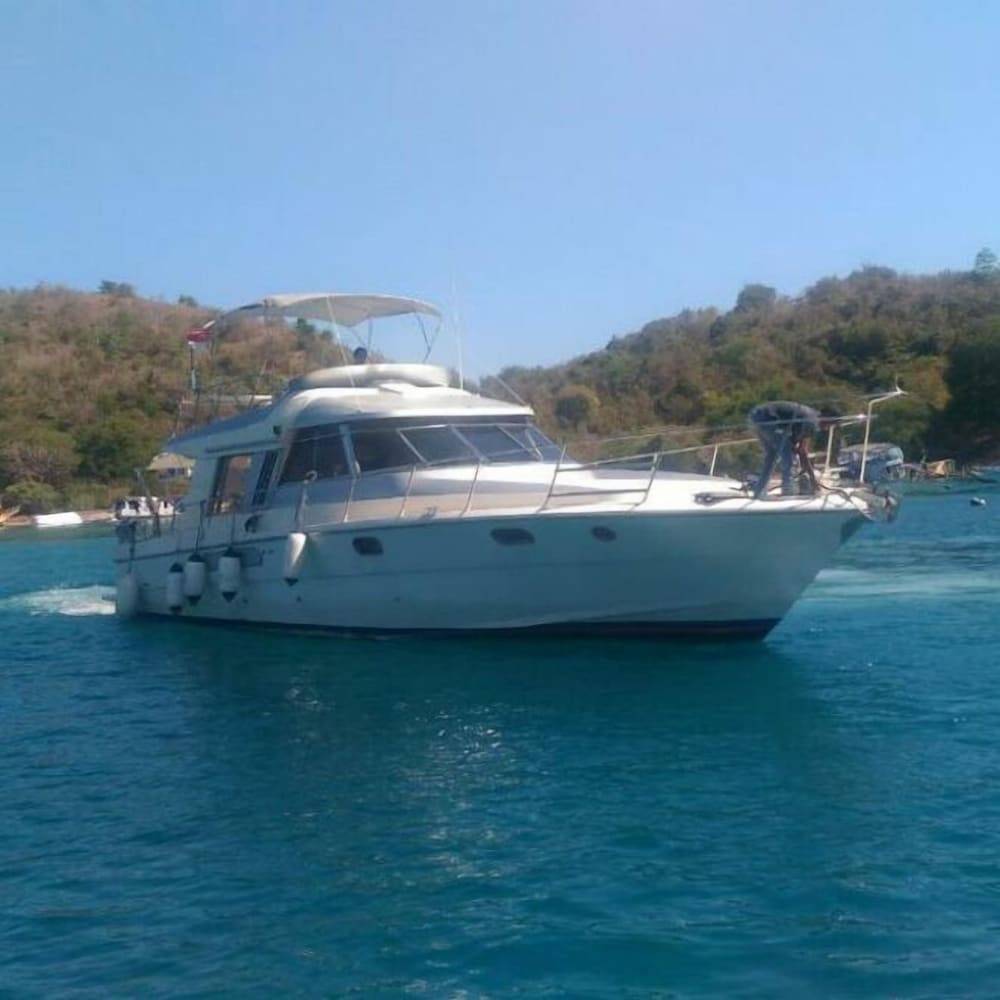 Laislabonita 1