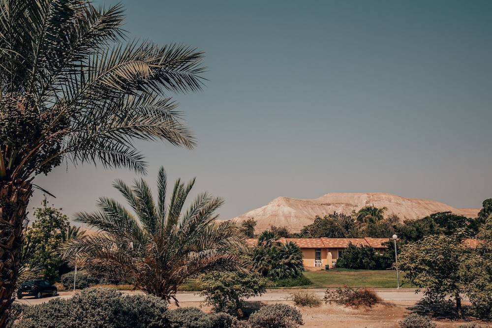 Almog Hotel 1