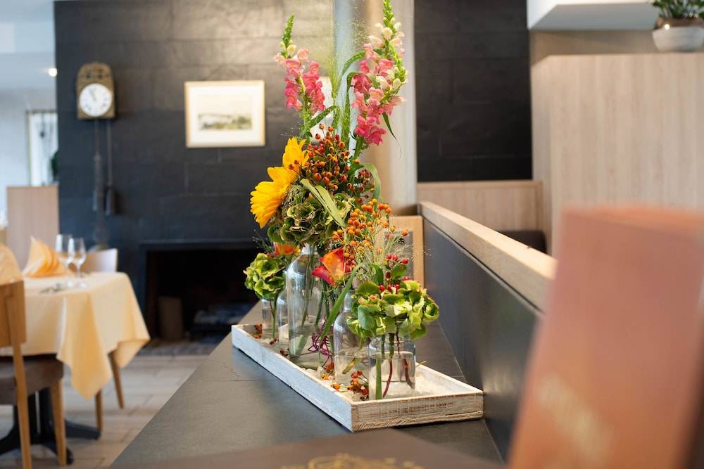 Hotel Villa am Rhein 2