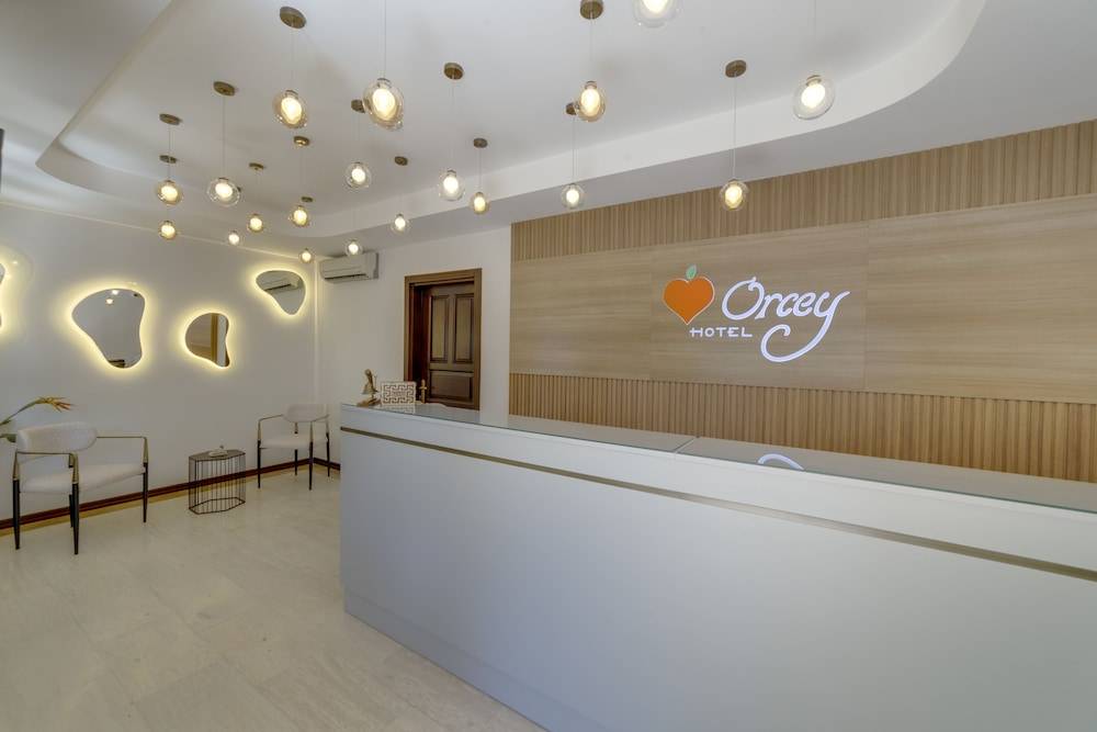 Orcey Hotel 2