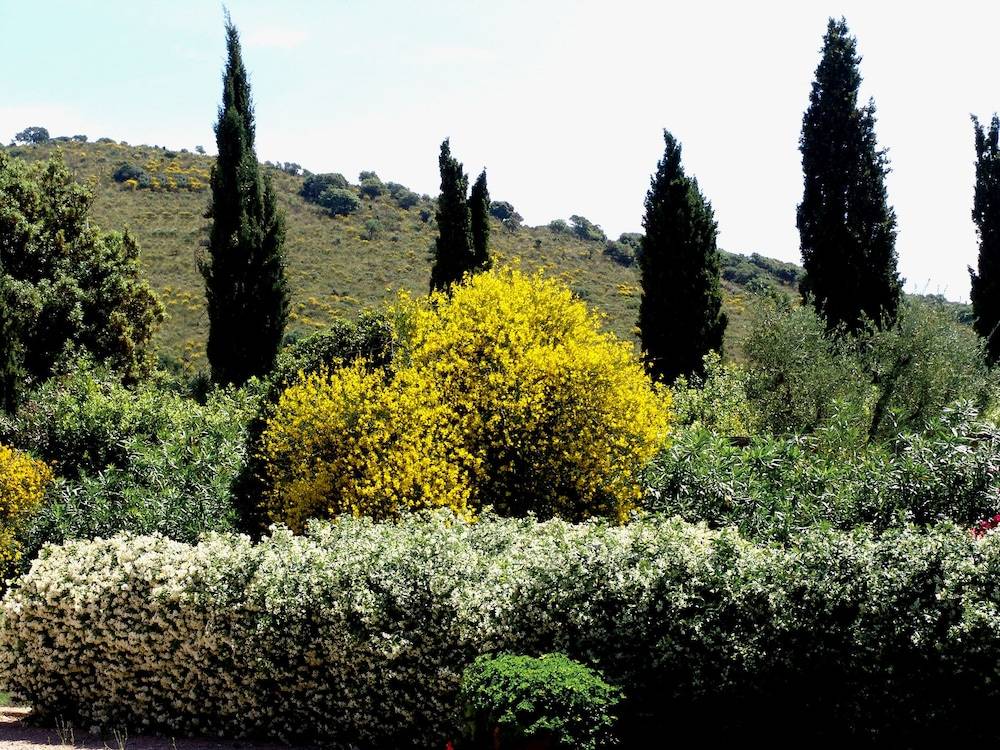 Agriturismo Fattoria Il Casalone 1