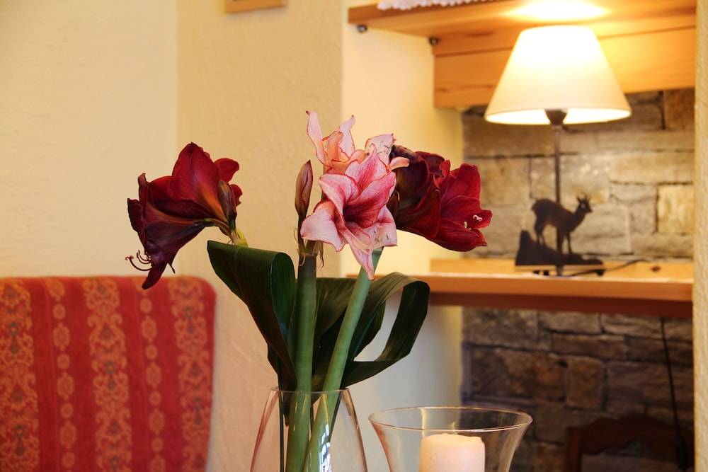 Albergo Edelweiss - LareSpa 2