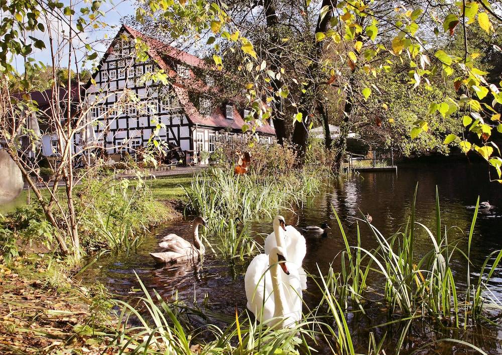 Springbach-Mühle Belzig 1