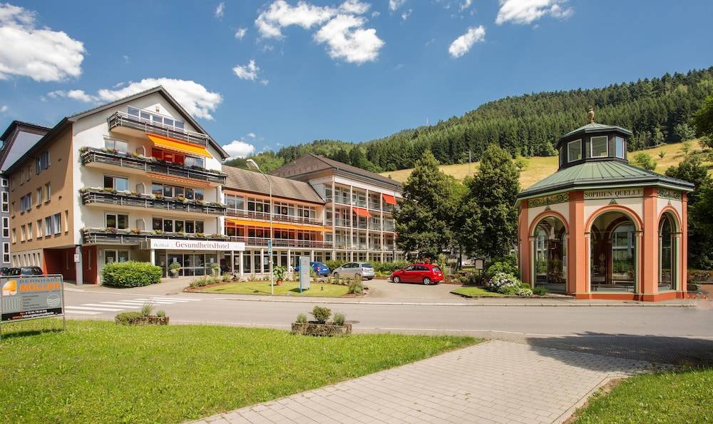 GesundheitsHotel Das Bad Peterstal 1