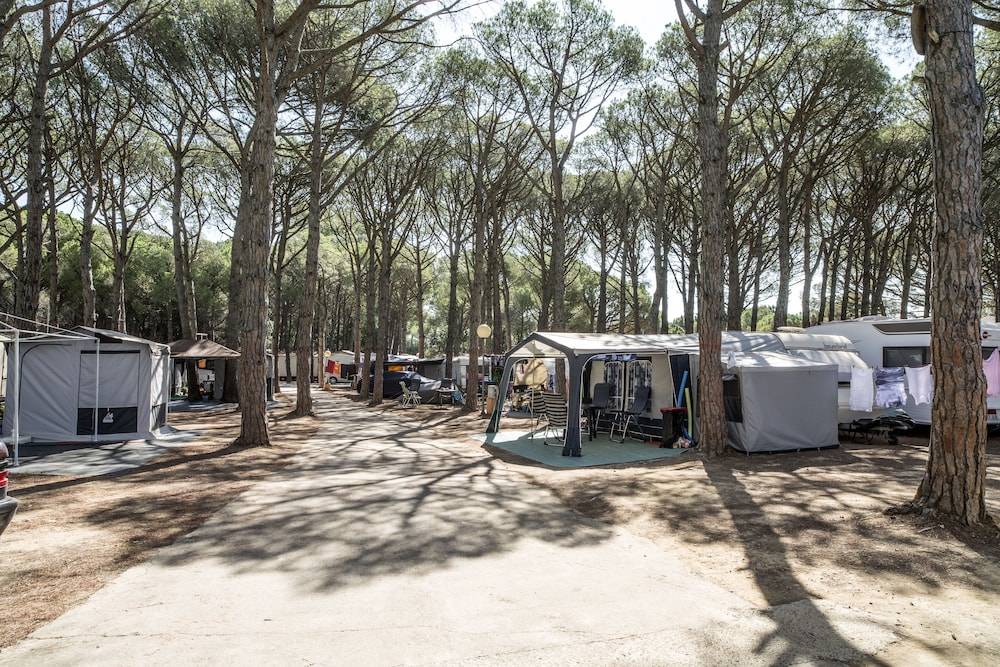 Camping Alannia Neptuno 2