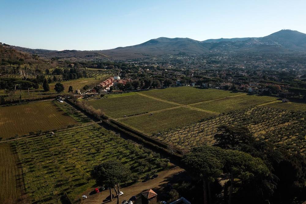 Villa Cavalletti Appartamenti 1