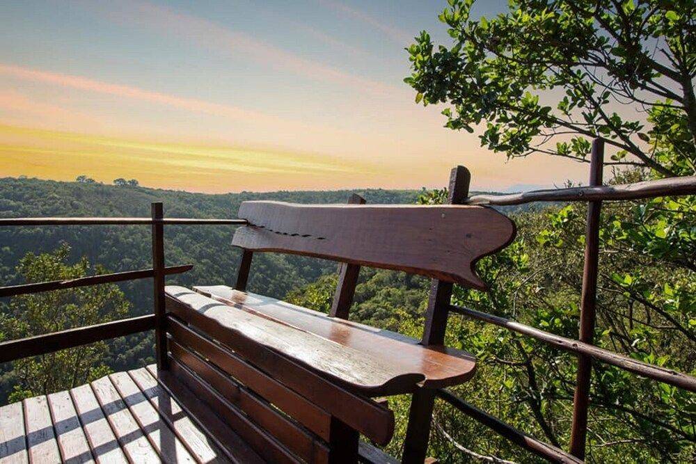 Teniqua Treetops 1