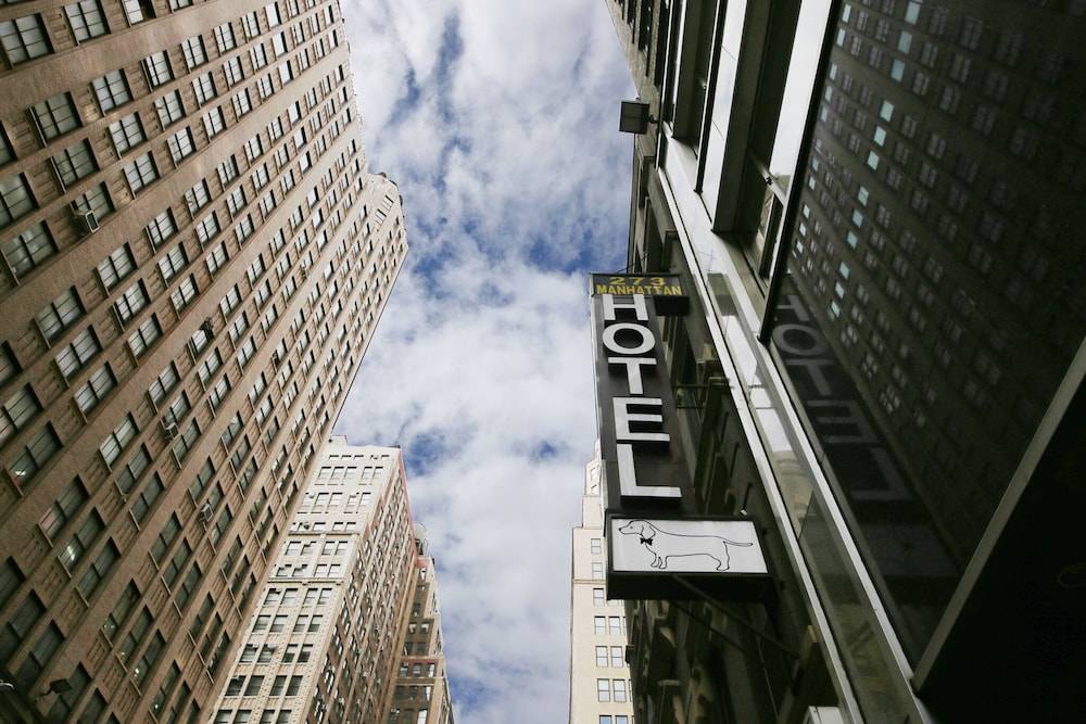 Doxie Hotel 1