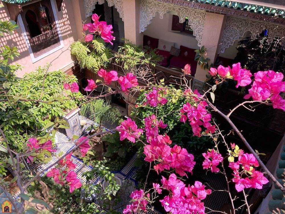 Riad Toyour- Riad of birds 1