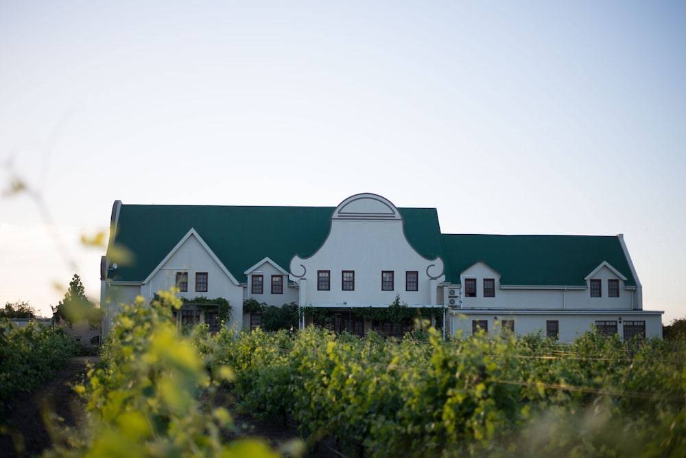 Cana Vineyard Guesthouse 1