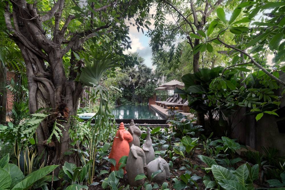 The Nature & Villas 1