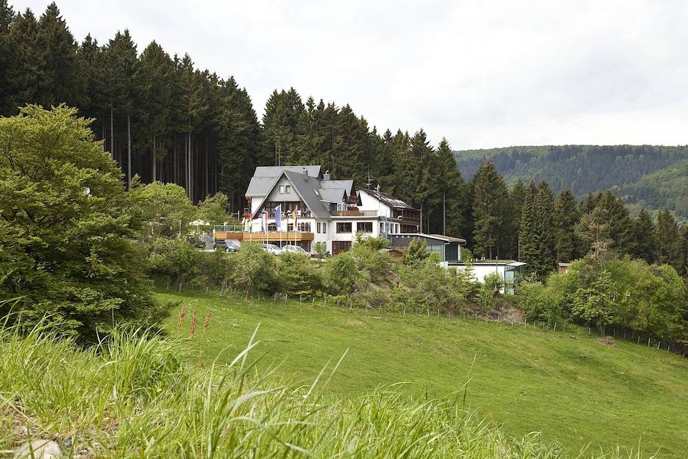 Wald Hotel Willingen 1