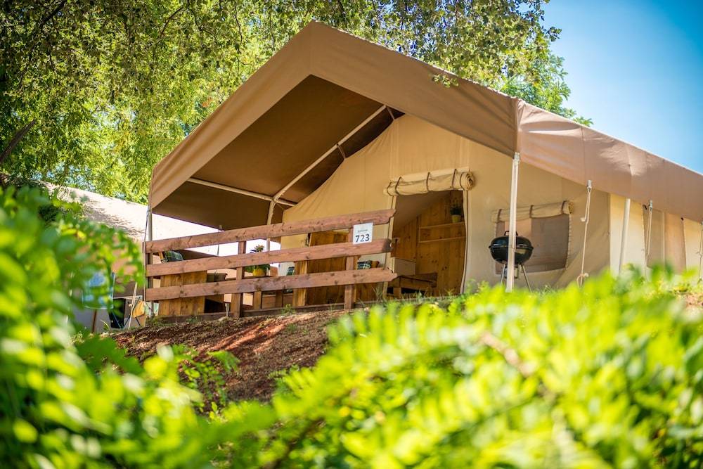 Sunflower Camping 1