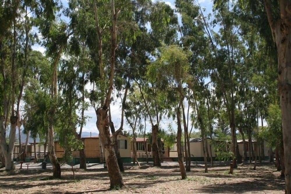 Batuca Village & Camping 2