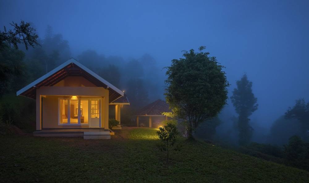 After the Rains - Rainforest Lodge, Wayanad 2