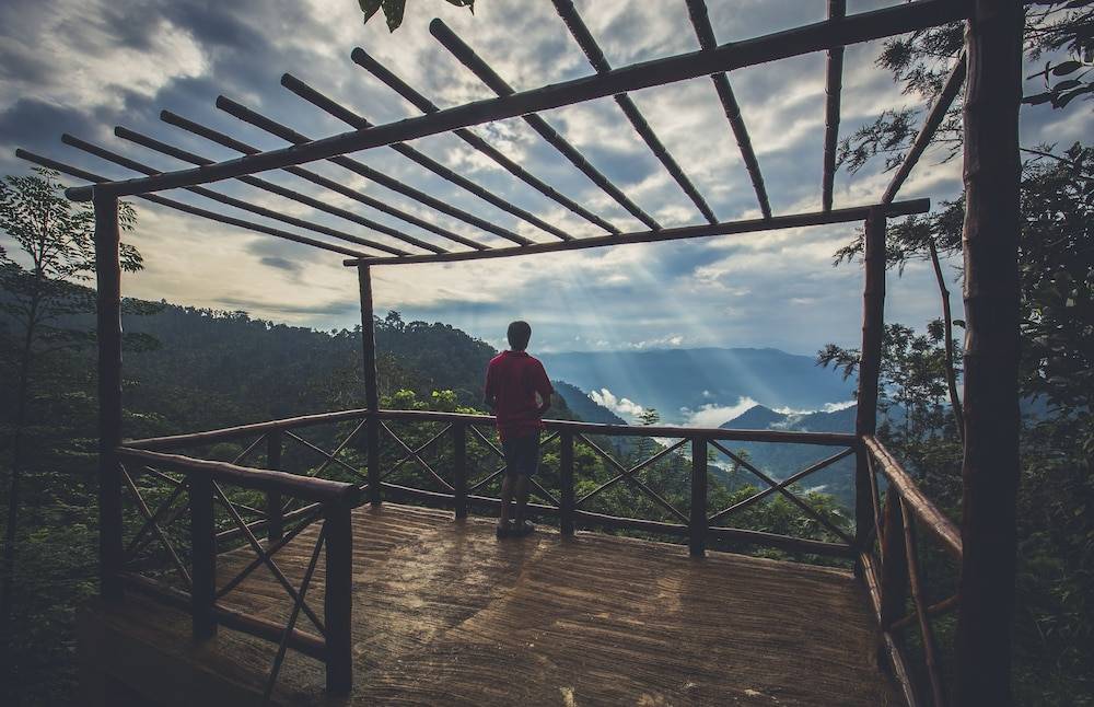 After the Rains - Rainforest Lodge, Wayanad 1