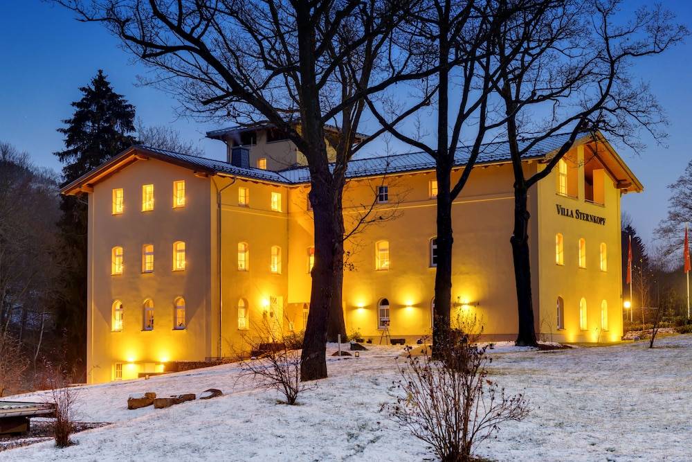 Villa Sternkopf Suiten Rittersgrün 1
