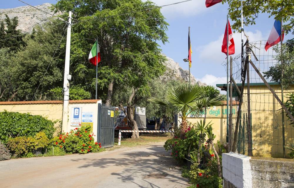 Camping Degli Ulivi 1