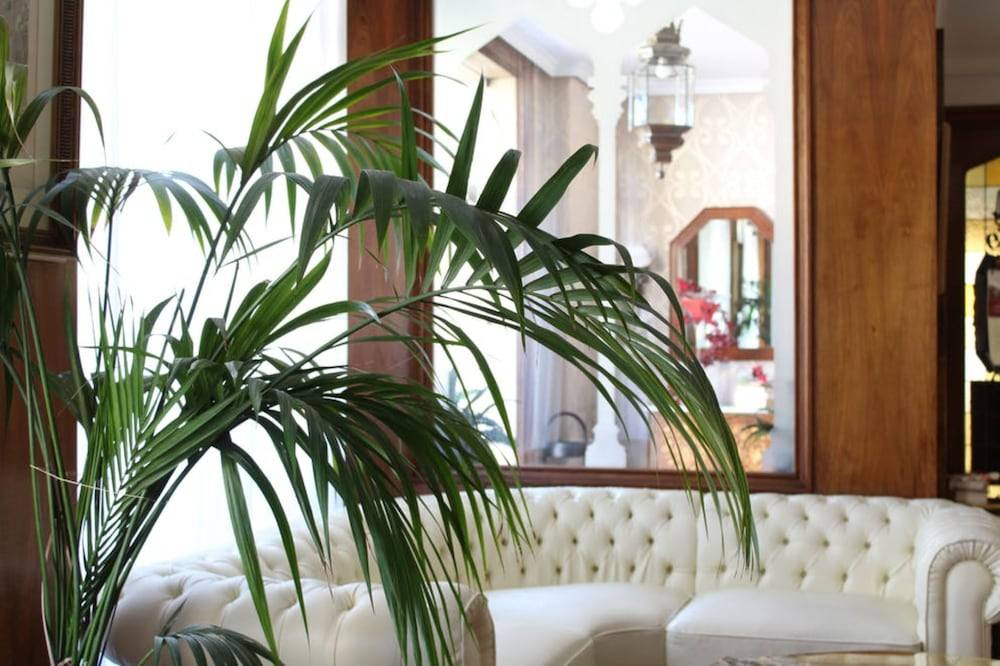 Hotel El Bedel 2