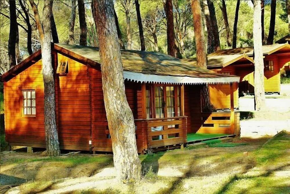 Camping La Ardilla Roja 1