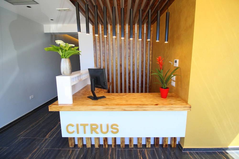 Hotel Citrus 2