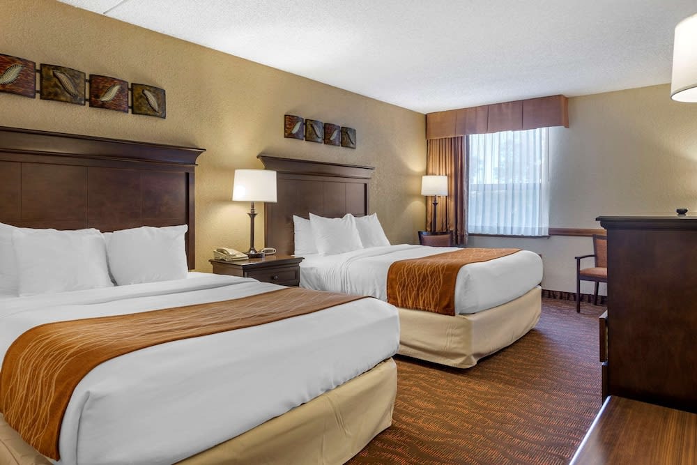 Comfort Inn at Thousand Hills 1