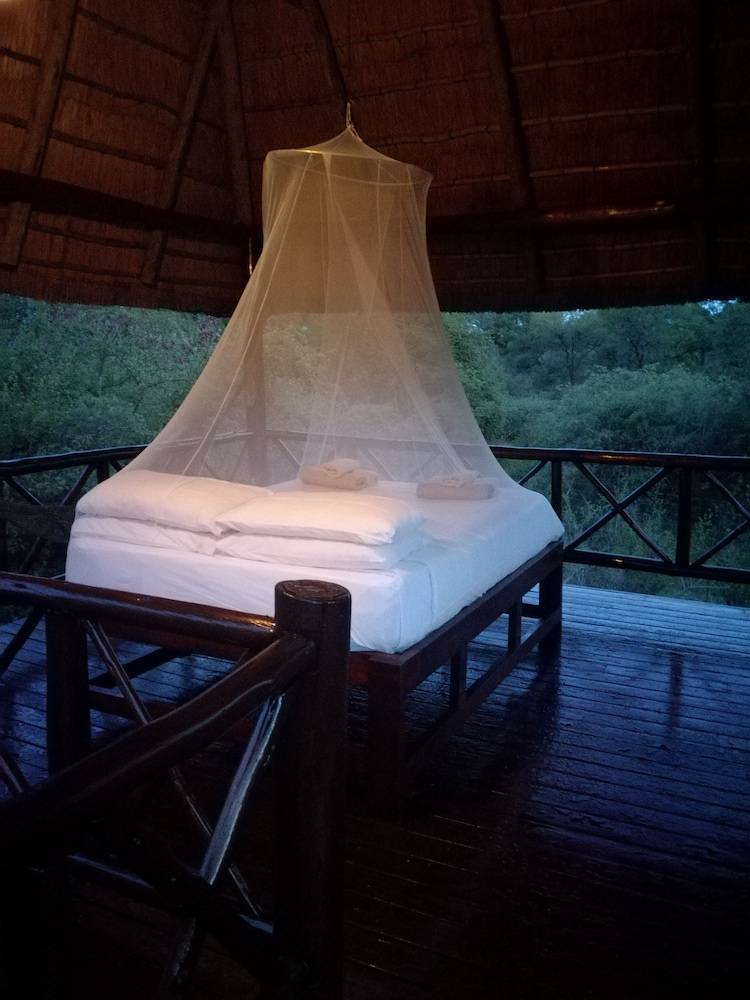 Lion Tree Bush Lodge 2