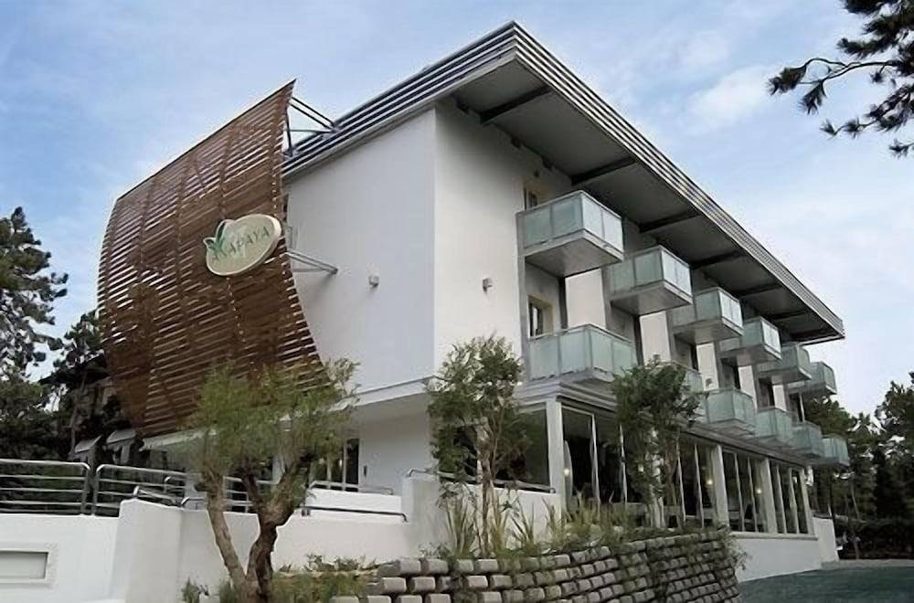 Hotel Anapaya 1