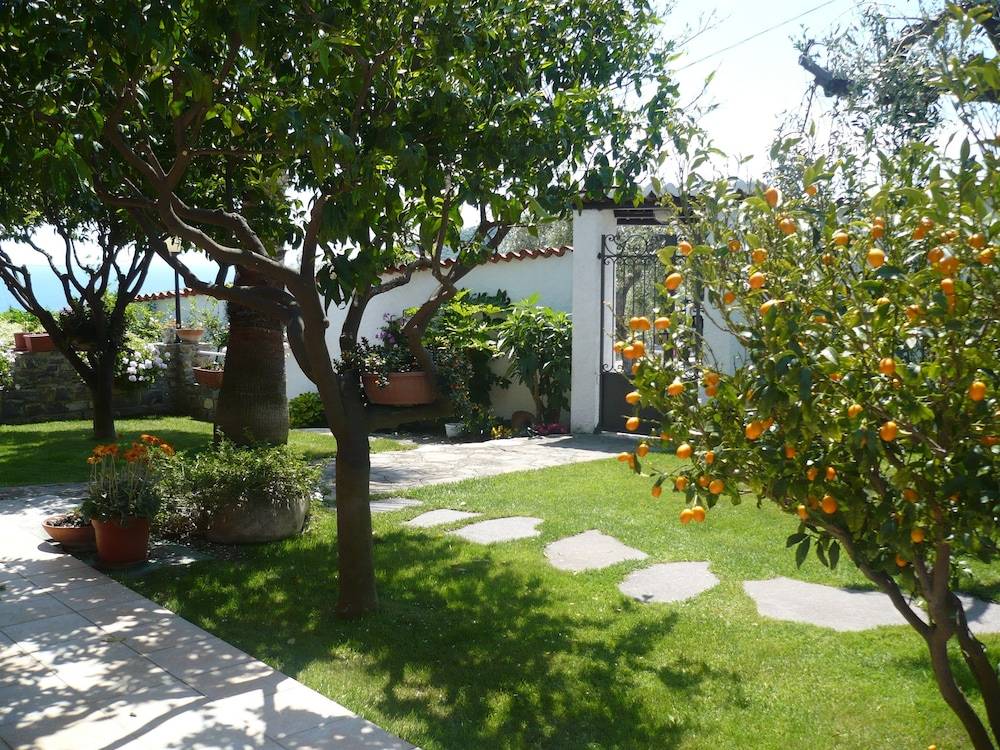 Azienda Agrituristica Villa Arianna 1