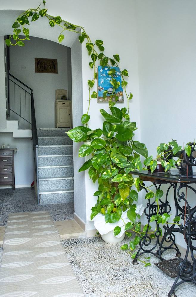 Villa Bianca 2