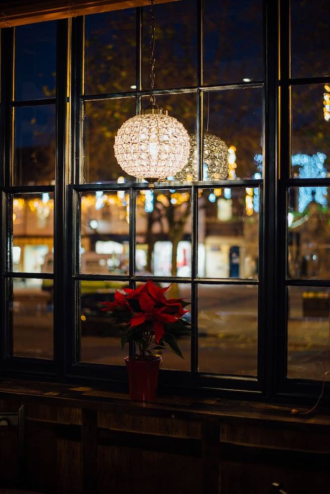 The Blue Boar, Witney, Oxfordshire - Acorn Pubs 2