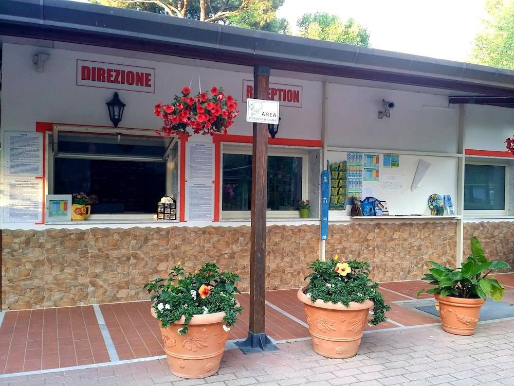 Camping Dal Pino 1