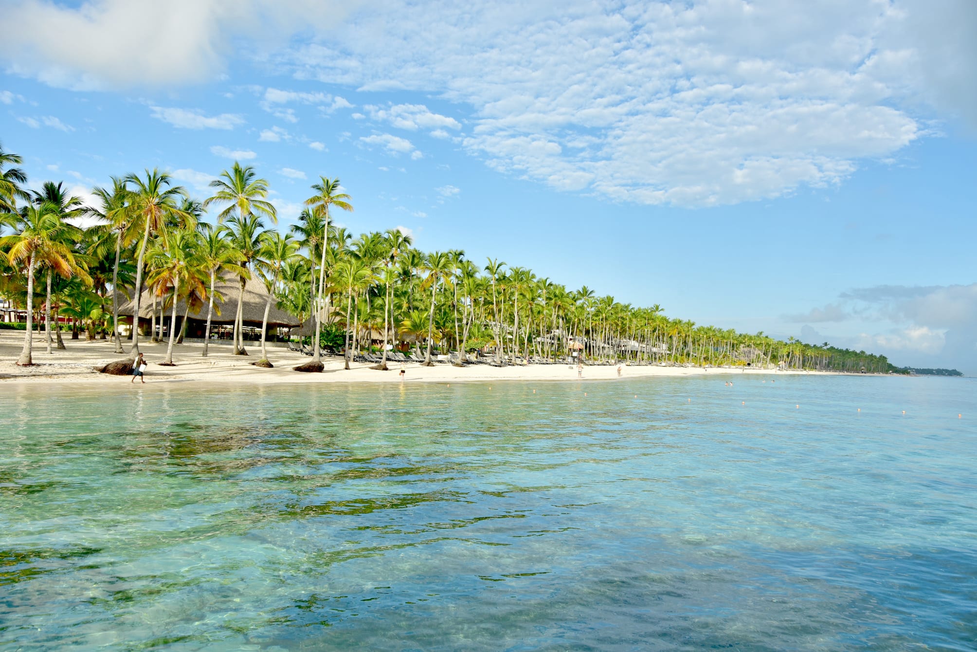 Barcelo Bavaro Beach, Adults Only 2
