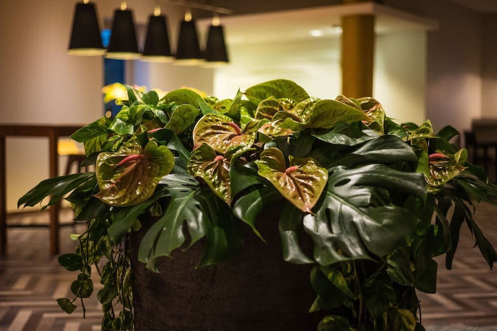 Sheraton Duesseldorf Airport Hotel 2
