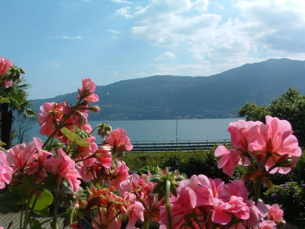 Residence Tre Ponti 1