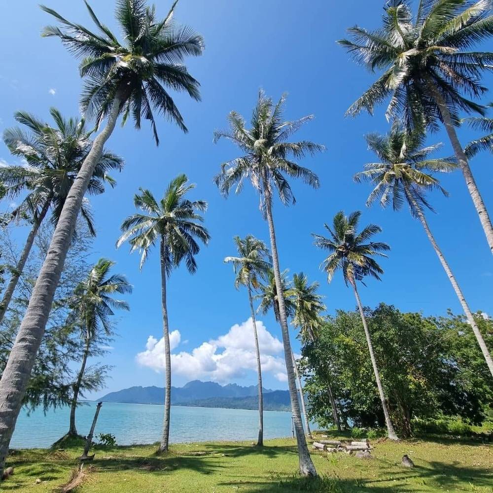 Coconut Beach Villa Langkawi 1