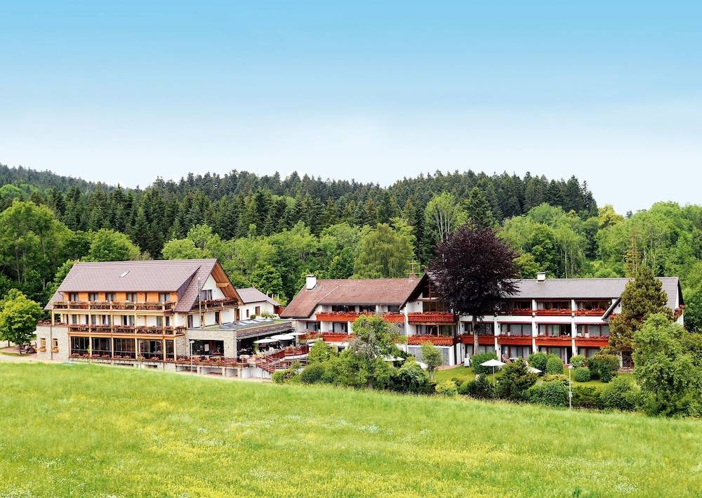 Hotel Grüner Wald 1